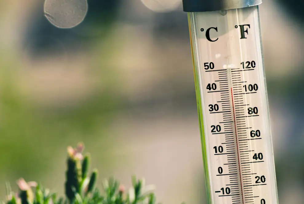 Wie Sie in Ihrem Zelt kühl bleiben