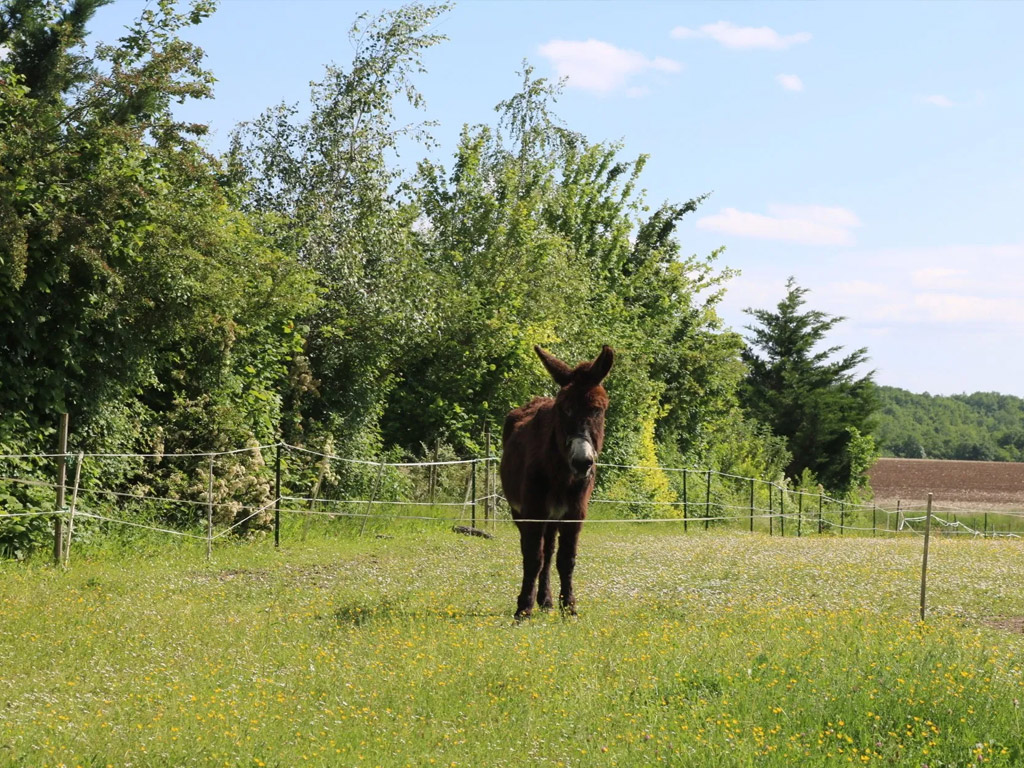 Camping Domaine Les Escaliers De La Combe 4