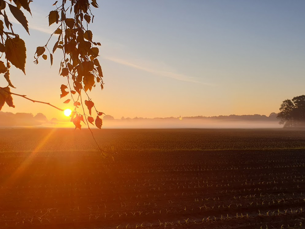 Camping Kempenstee 6