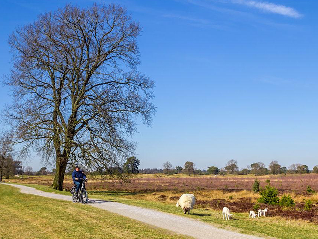 Minicamping De Goede Berg 8