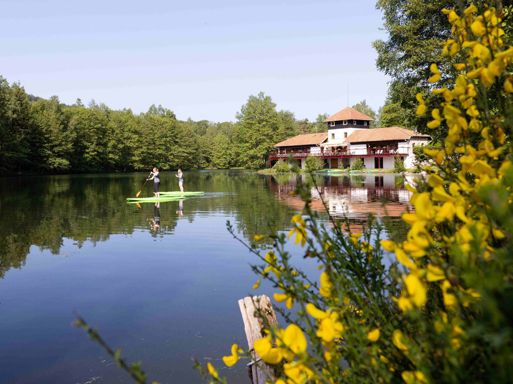 Camping Domaine Des Messires 1