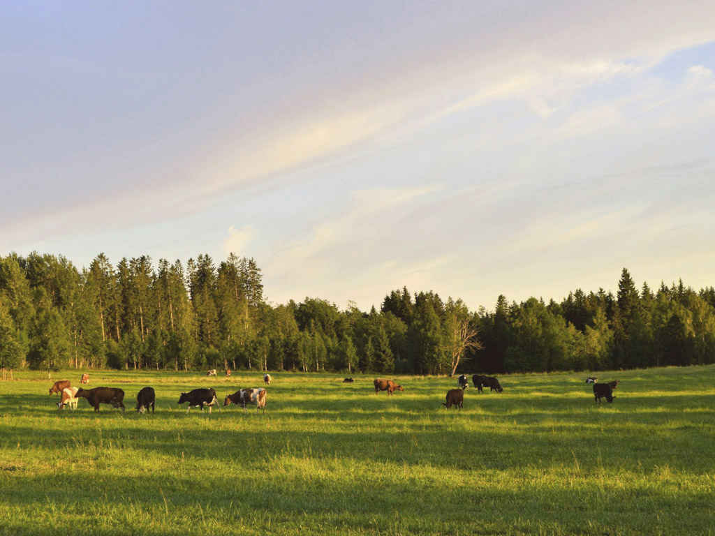 Camping D N Aanloop 4