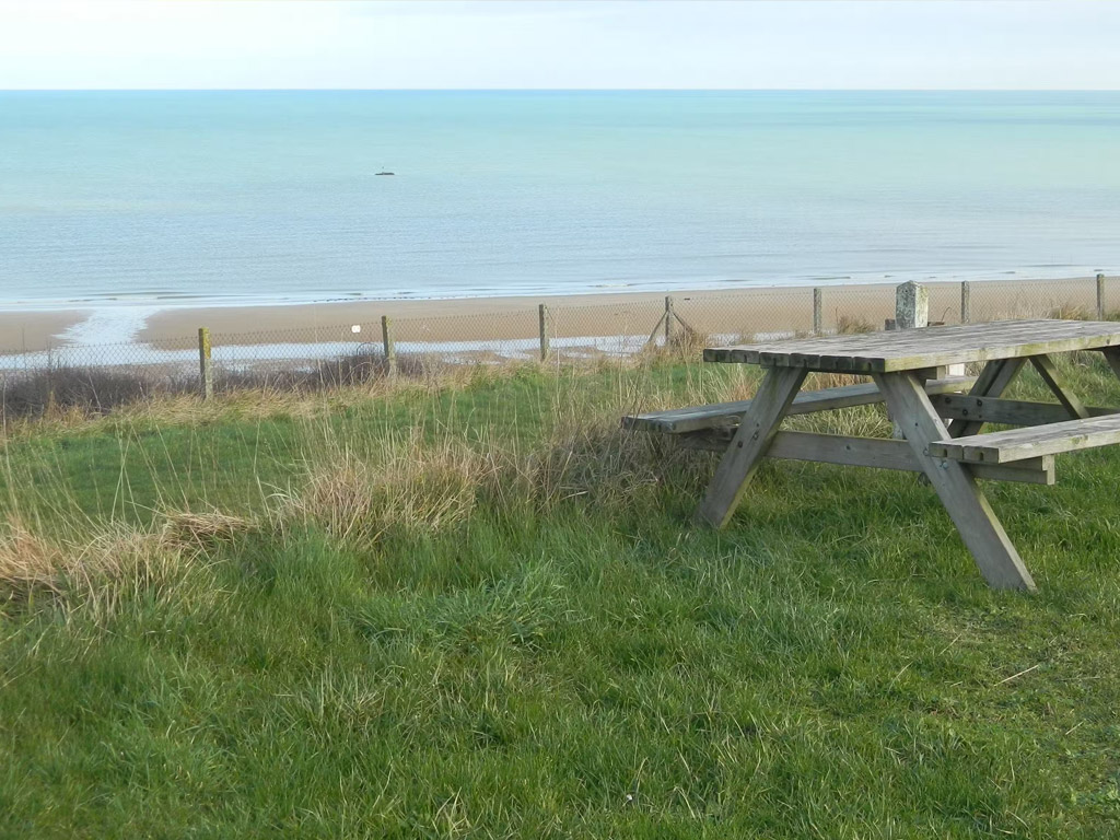 Flower Camping Omaha Beach 9
