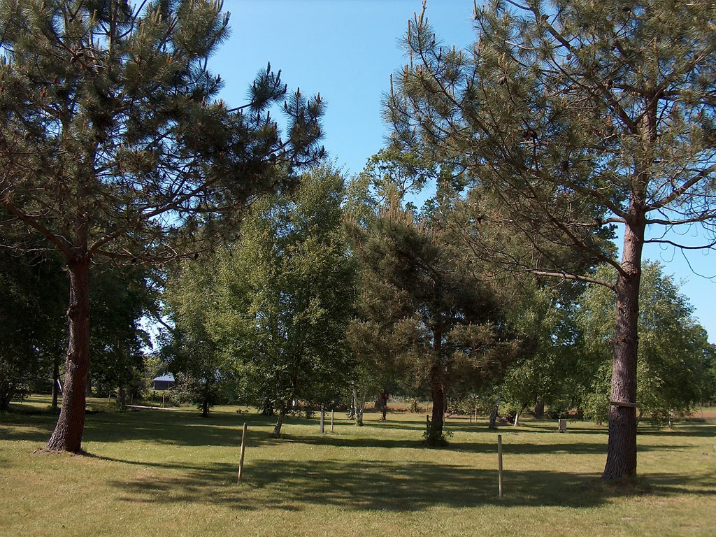 Les Grands Chenes Et Les Ajoncs 7