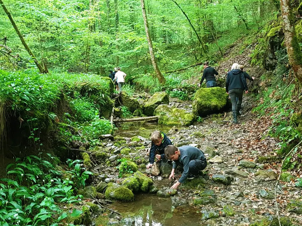 Naturcampingplatz am Fluss Ourthe