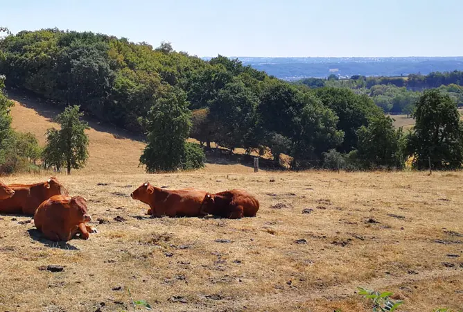 Die 5 schönsten Campingplätze für Ihren Wanderurlaub