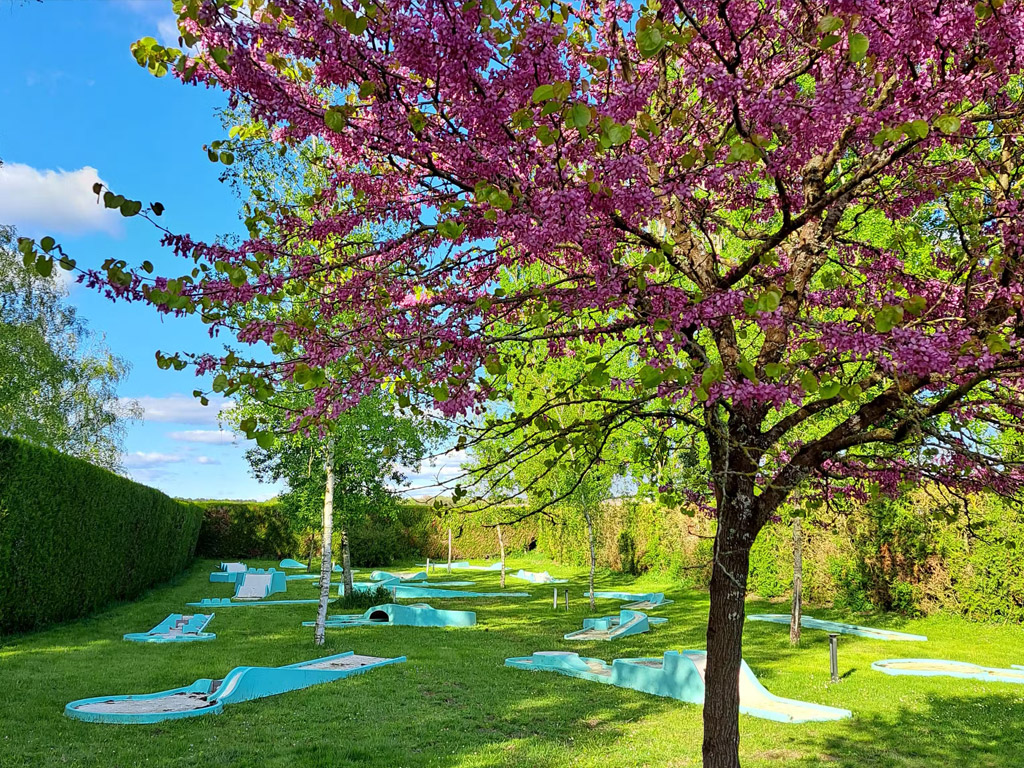 Camping Chateau De La Rolandiere 5