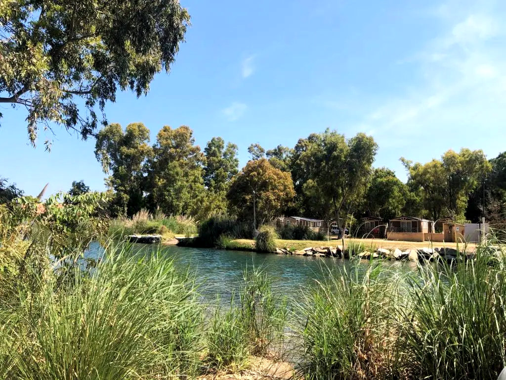 Camping unter Pinien und Eukalyptusbäumen an einem französischen Fluss