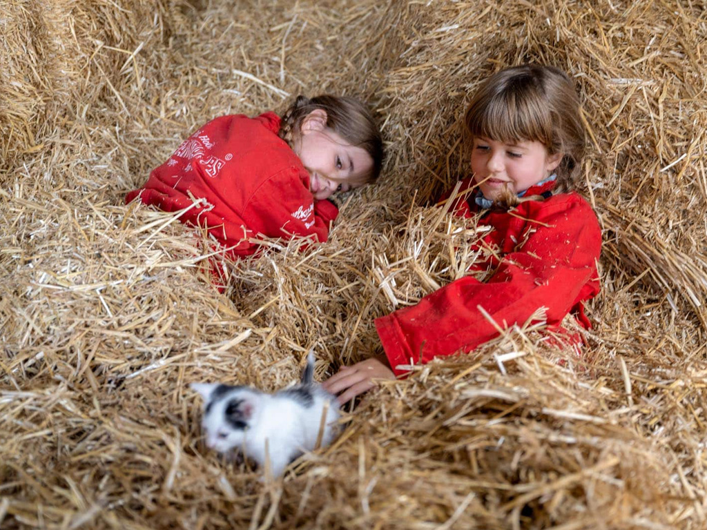 Farmcamps De Oostermaat 13