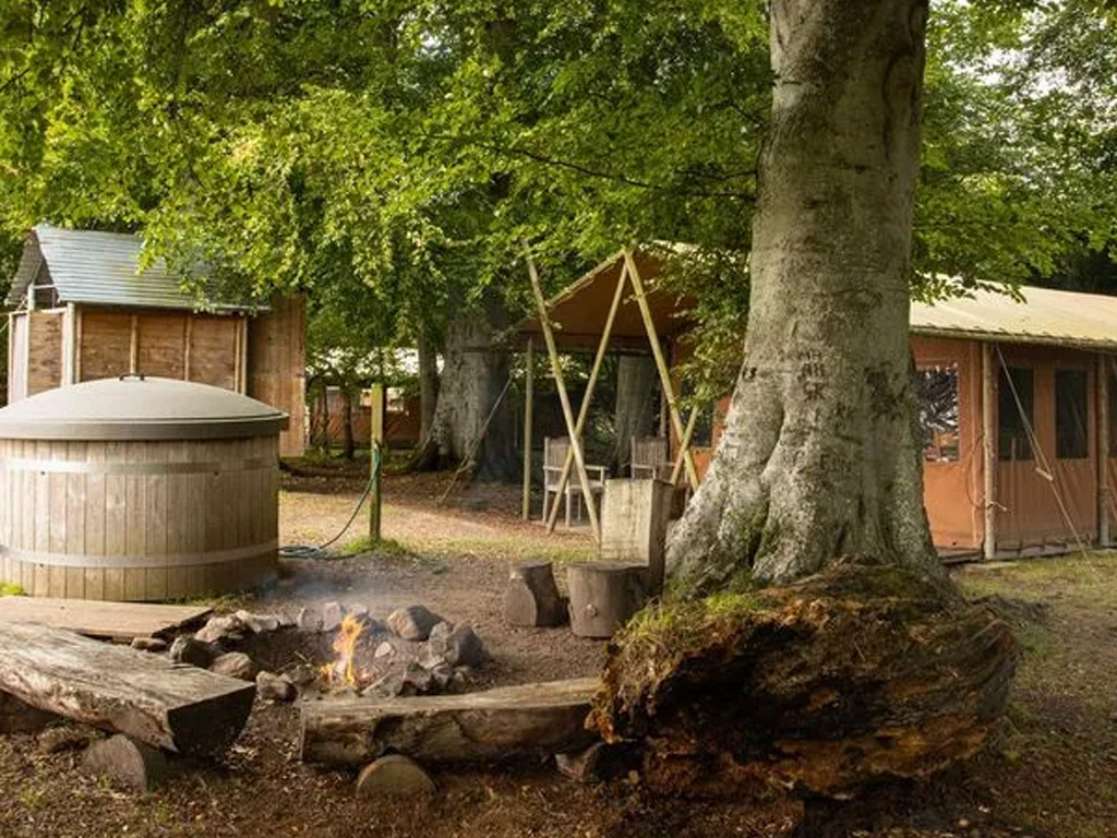 Ferme De Rochefort En Ardenne 6