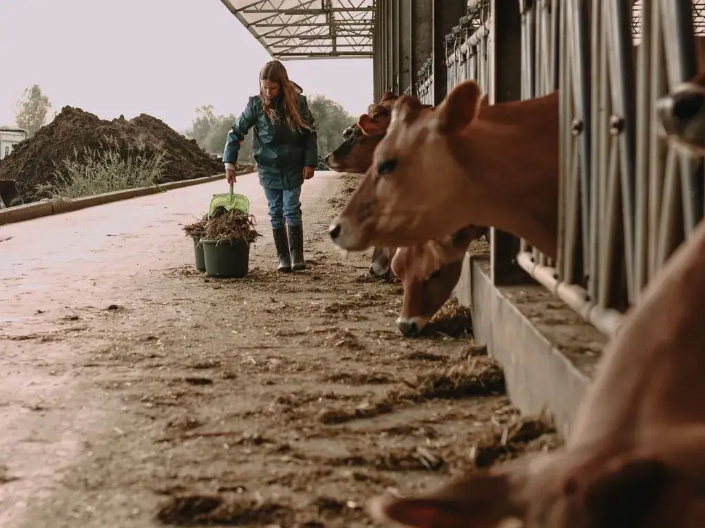 Übernachtung bei Ann und Filip in der Westhoek
