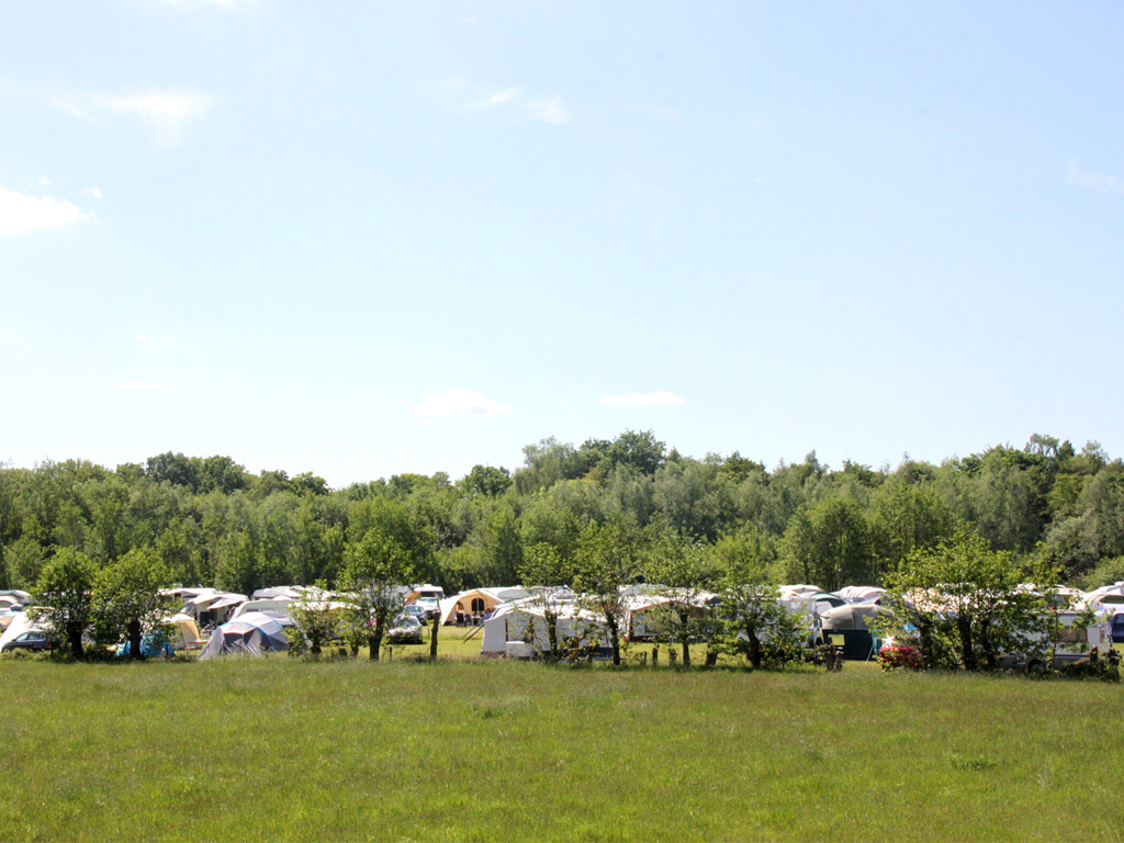 Camping auf dem Utrechter Bergrücken