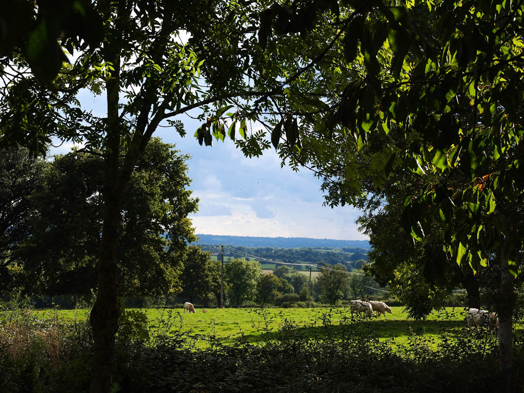 Camping Domaine La Charviere 9