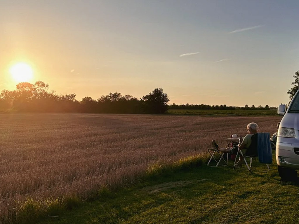 Minicamping De Zonnekoningin 7