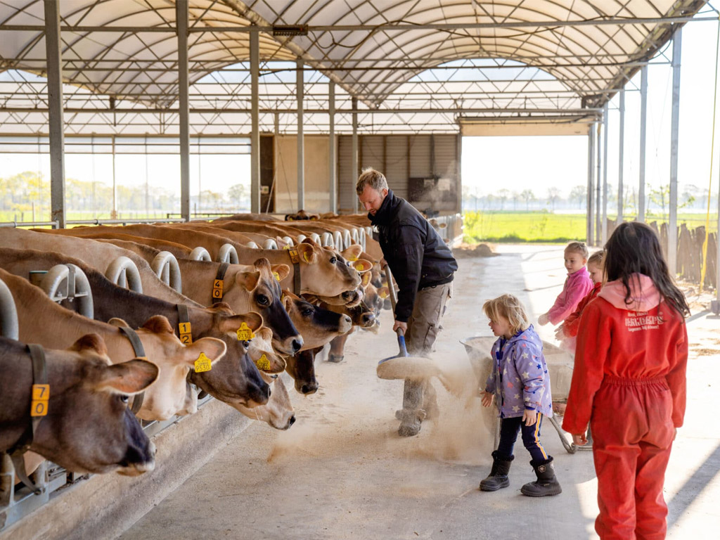 Farmcamps Boebadoe 1