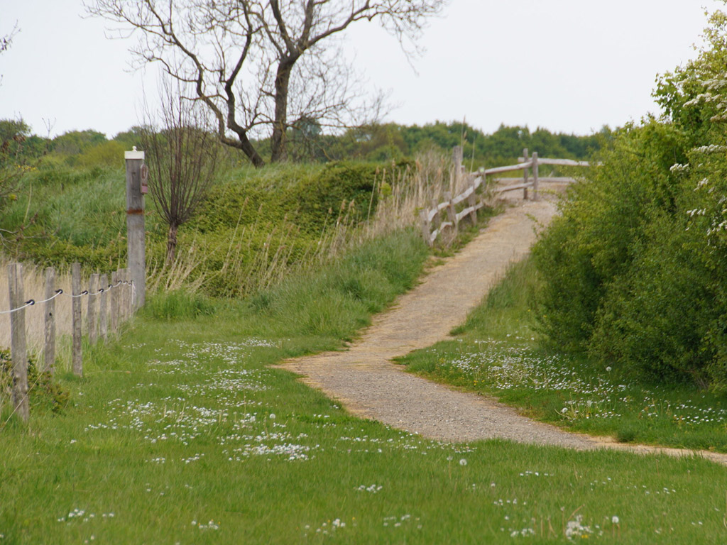 Vakantiepark En Camping Hofstede Elzenoord 10