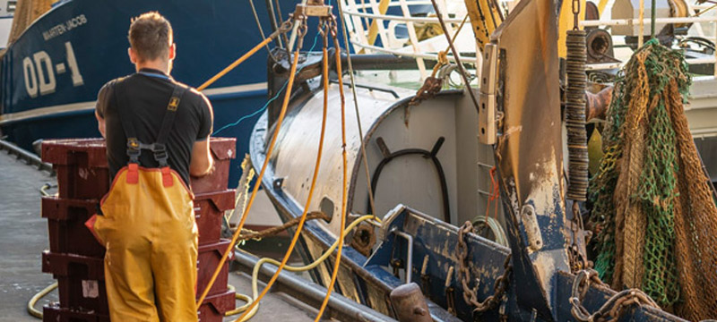 Kamperen Nederland 19 (1) (1) (1)