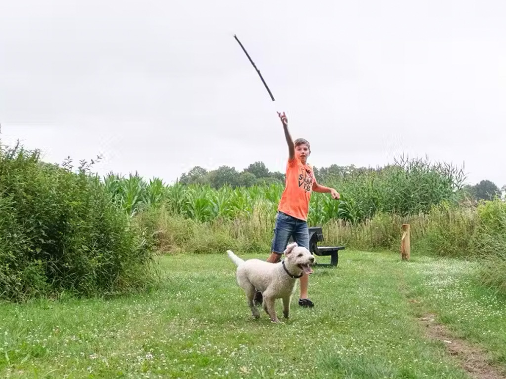 Campingplatz in Overijssel mit Hund