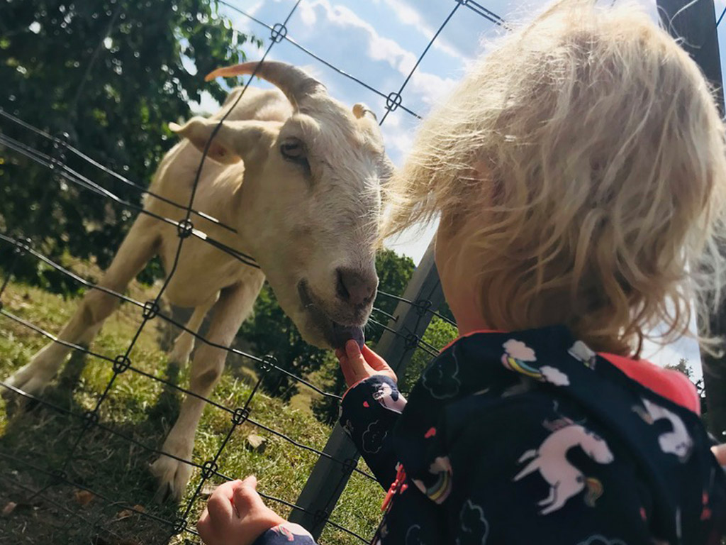 Bauernhof-Campingplatz