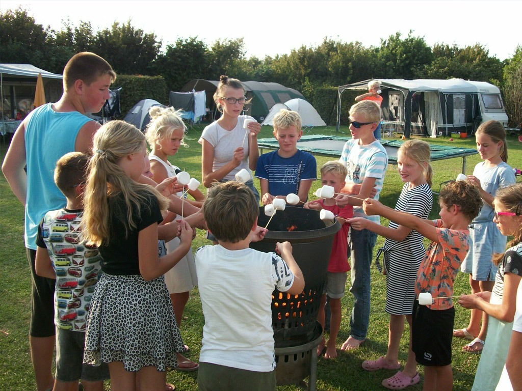 Boerencamping De Koehoorn 3
