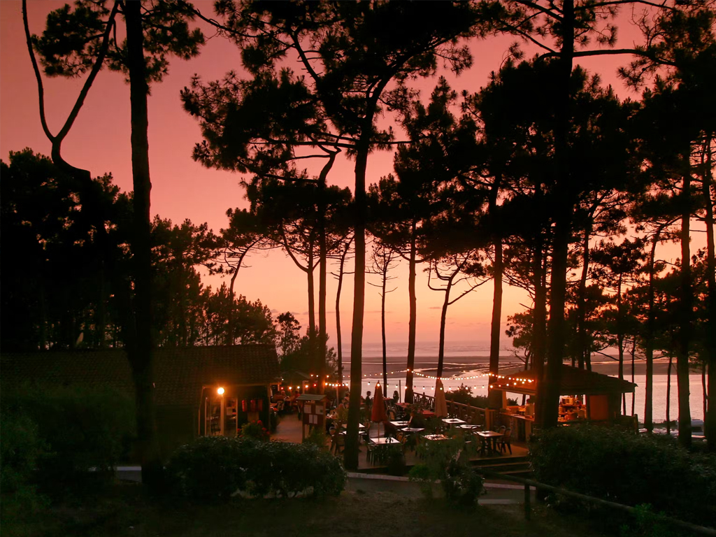 Camping Panorama Du Pyla 6