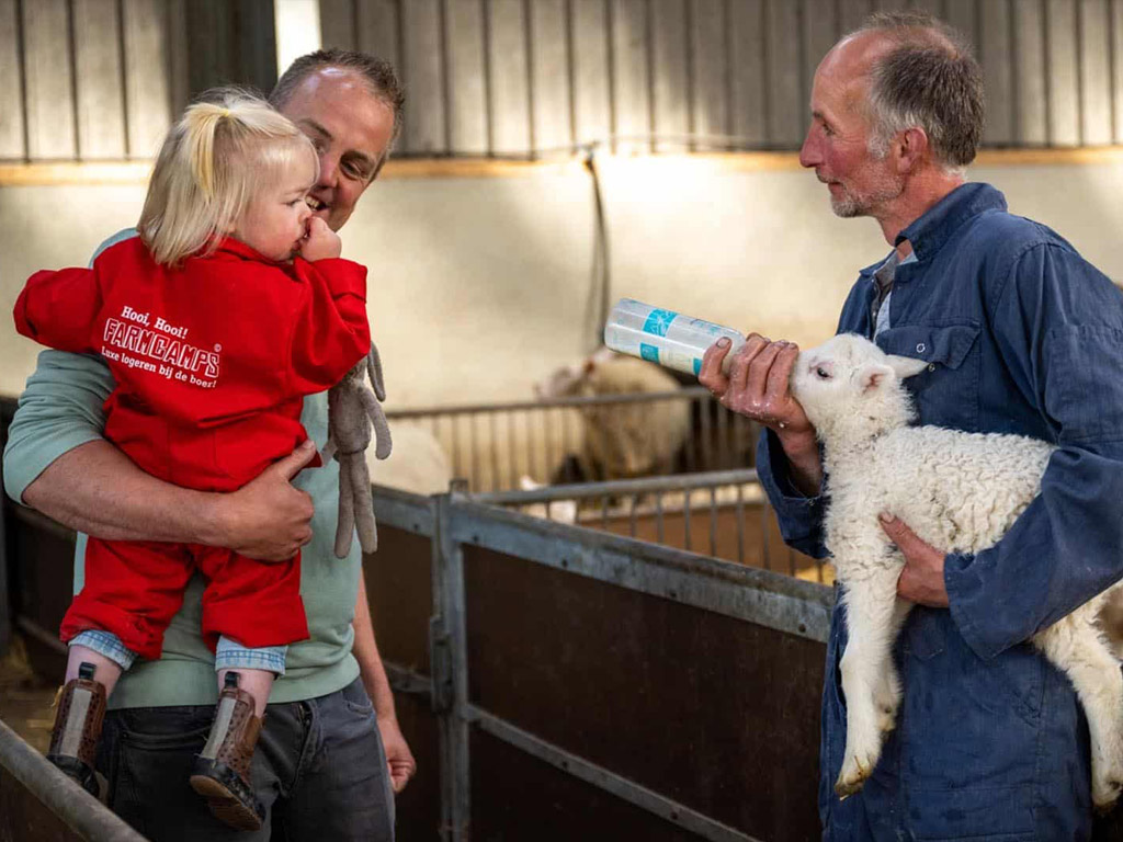 Camping De Bonte Fries 3