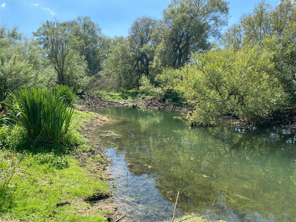 Camping Le Brouzel 1