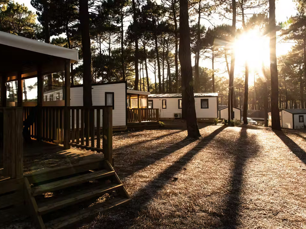 Camping MS Le Vivier 1