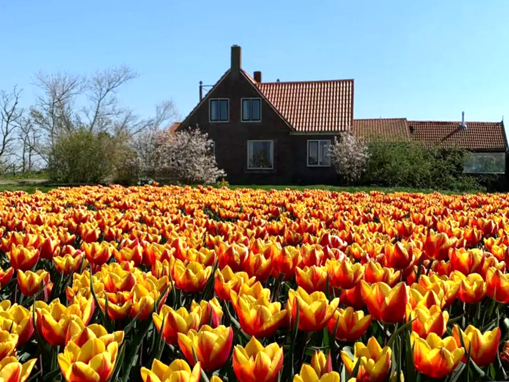 Ein kleiner, gemütlicher Bauernhof-Campingplatz