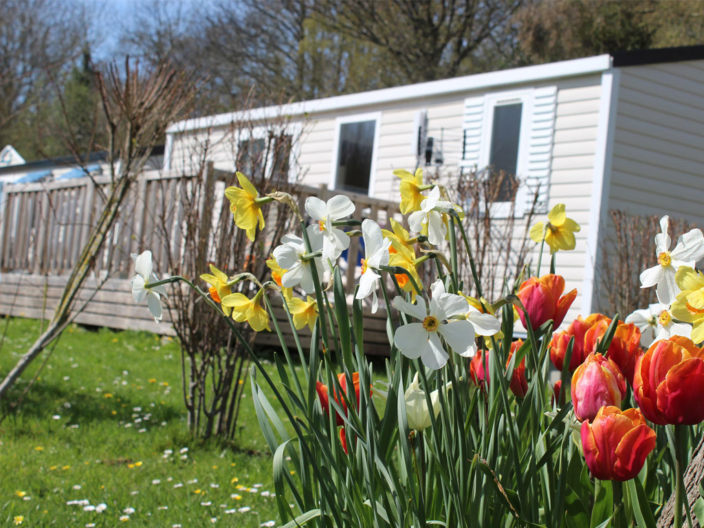 Flower Camping Le Rompval 9