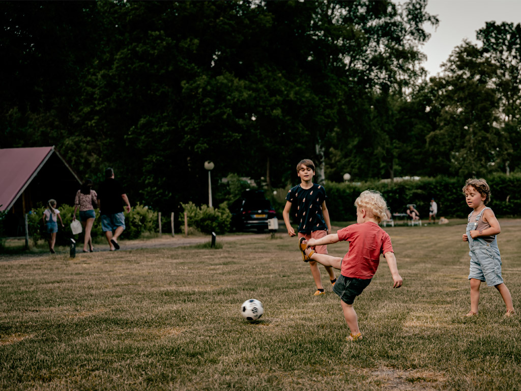 Vakantiepark-Westerbergen-7