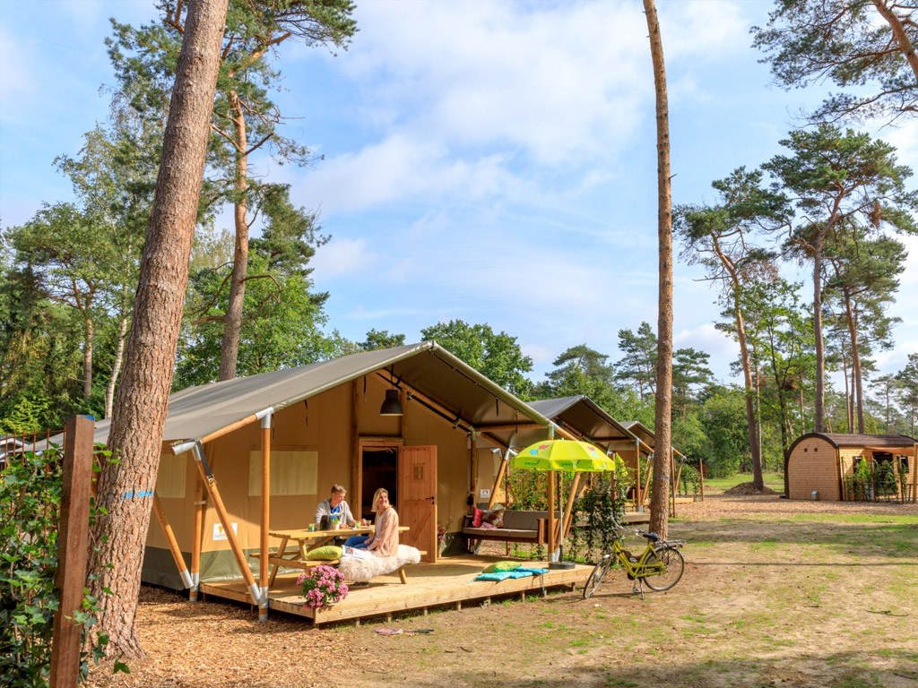 Bewaldete Umgebung von Ermelo