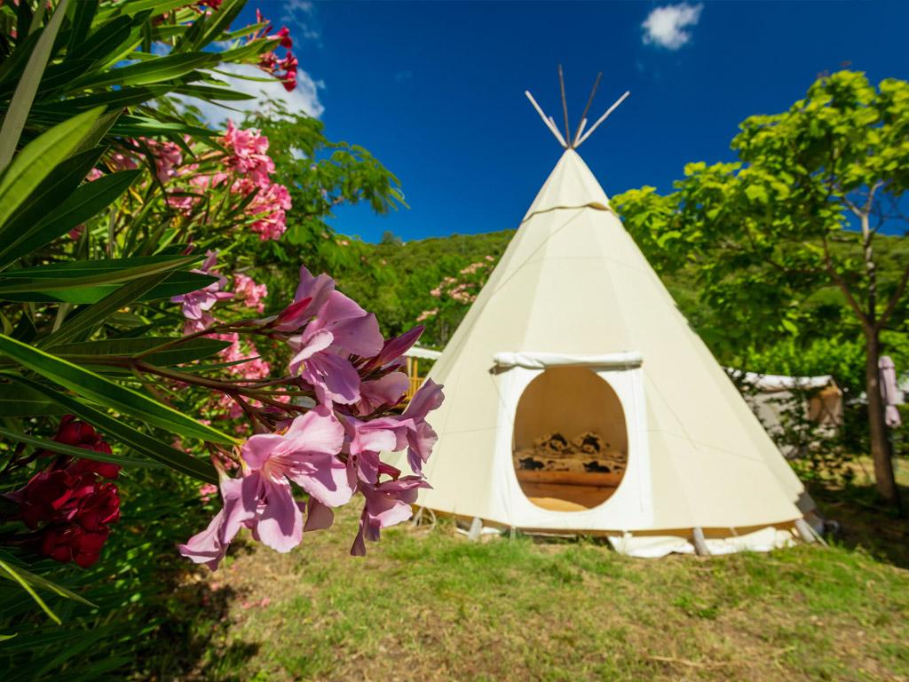 Camping Les Cerisiers Du Jaur 5